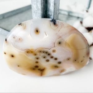 Agate Dendrite Polished Free Form Palm Stone